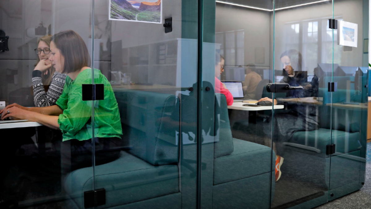 A group of colleagues working on laptops in pods