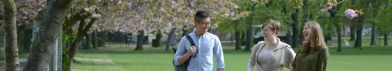 A group of three students in the Meadows, in front of a blossom tree