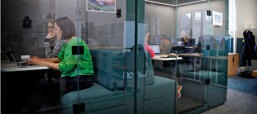 A group of colleagues working on laptops in pods