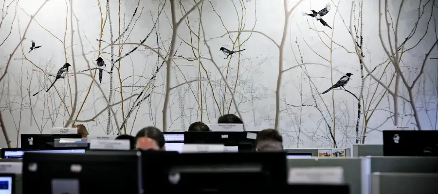 A view or the tops of several computers, focusing on tree and bird wallpaper in the background