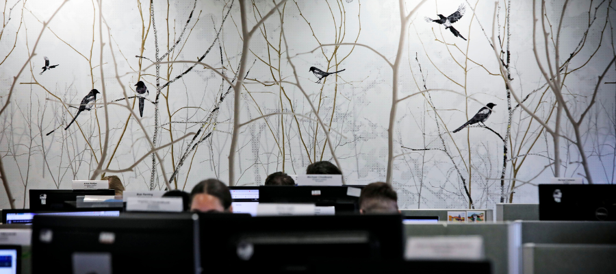 A view or the tops of several computers, focusing on tree and bird wallpaper in the background